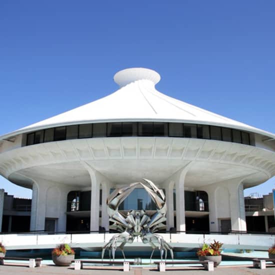 Museum of Vancouver: Learn About the History of Vancouver
