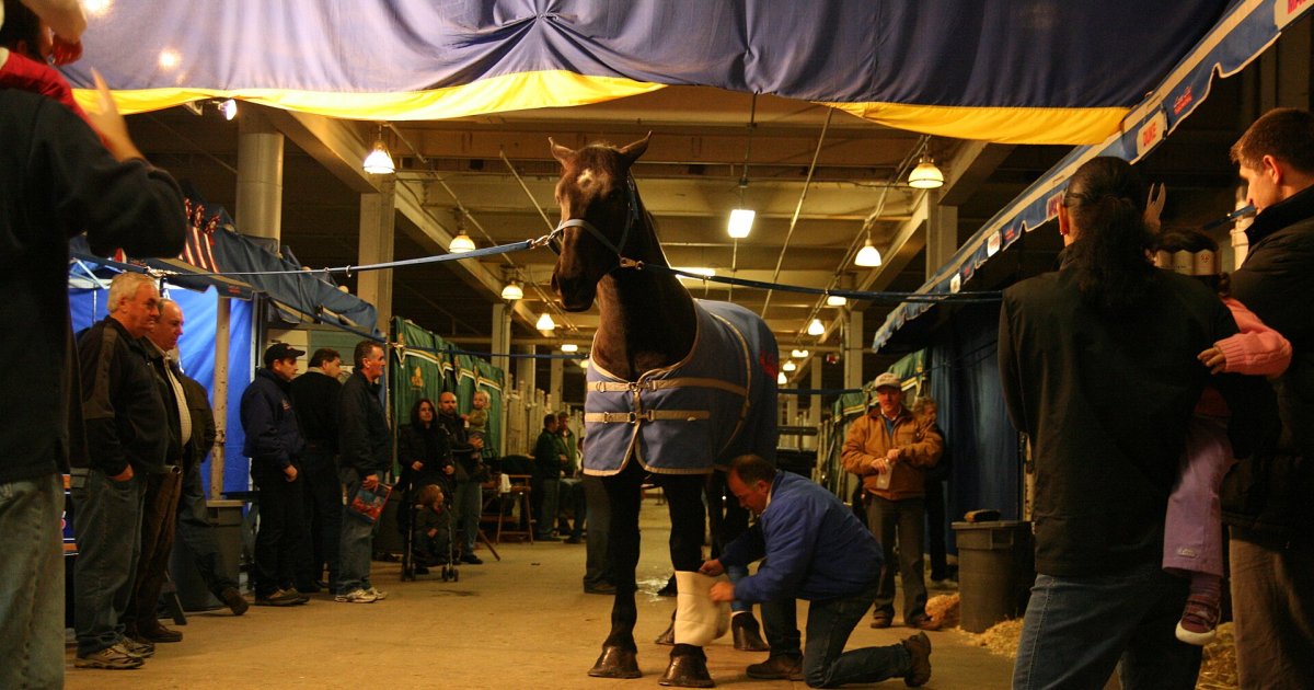 Royal Horse Show de la Foire royale d'hiver au Coca-Cola Coliseum