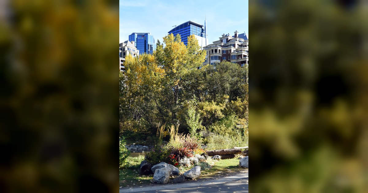 Great Outdoors Comedy Festival 2027 au Prince's Island Park — passe 3 jours