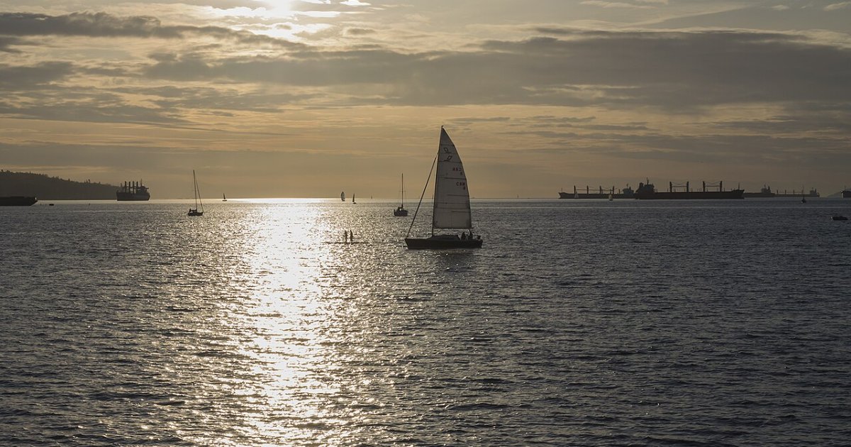 Sailing Experience on a 50' Sailboat