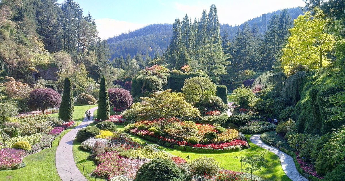 The Butchart Gardens Express Shuttle