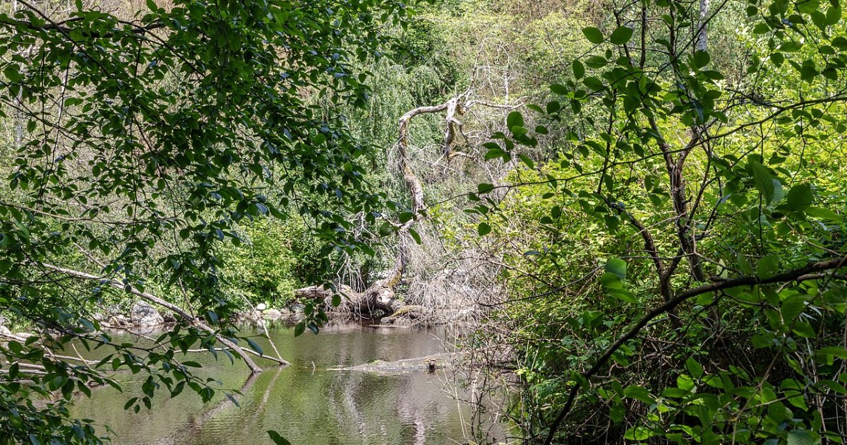 The Dark Secrets of Stanley Park Tour