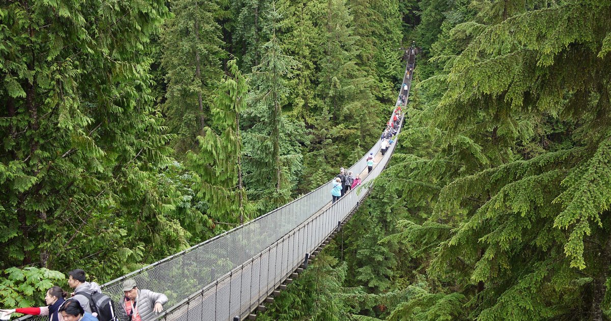 Post-Cruise Shore Excursion: Capilano Suspension Bridge & Grouse Mountain