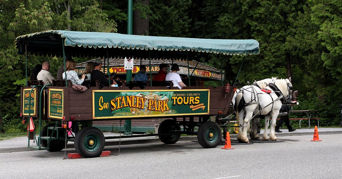 Stanley Park Horse-Drawn Guided Tour at Stanley Park