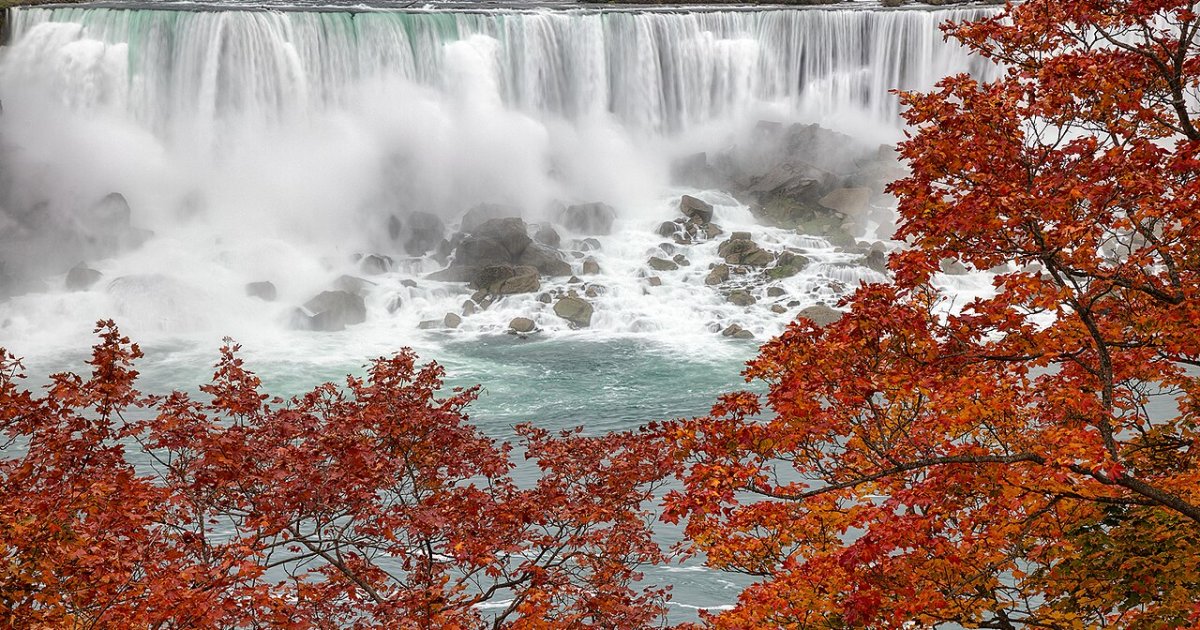 Fall for Niagara Day Trip from Toronto