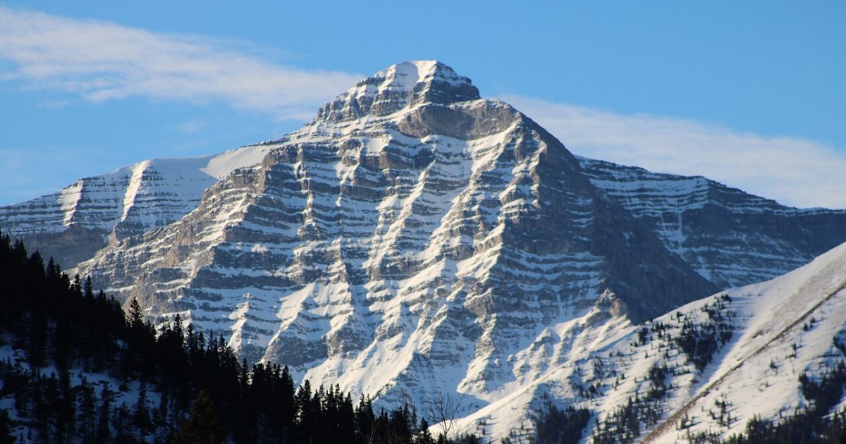 Buffalo Loop 1-Hour Horseback Trail Ride in Kananaskis