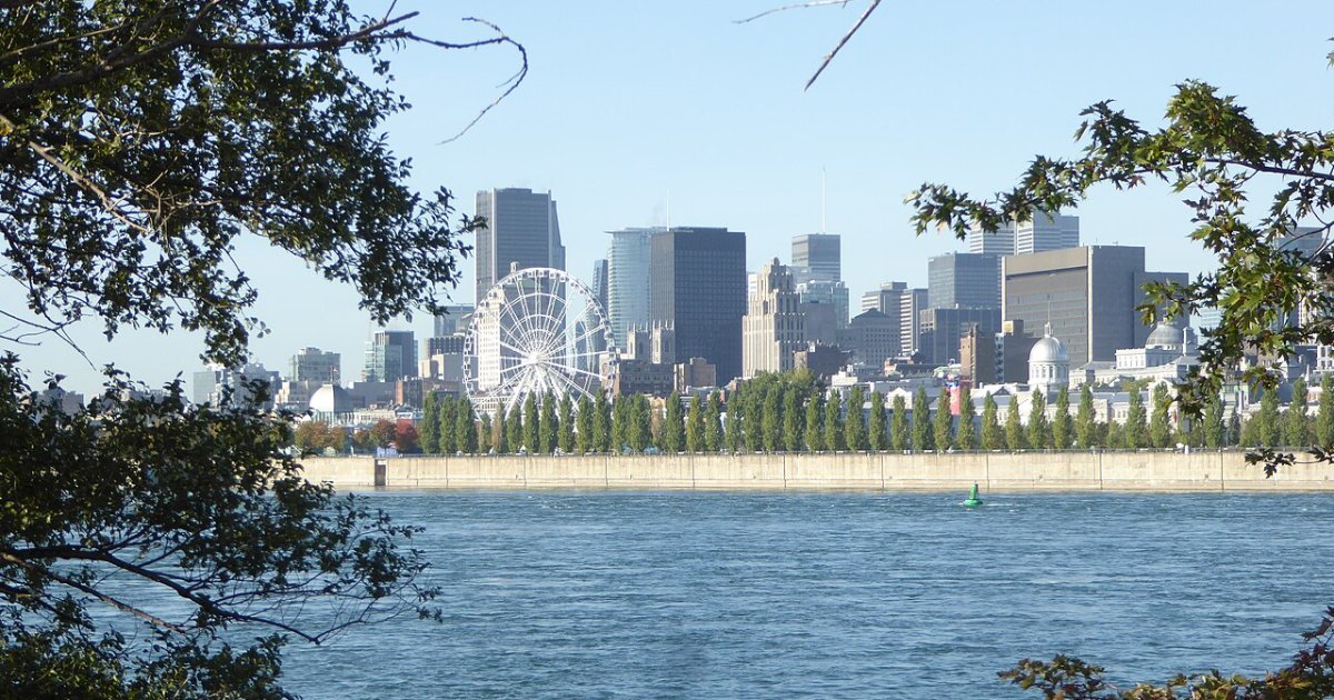 MTL Zipline Experience in Montreal's Old Port