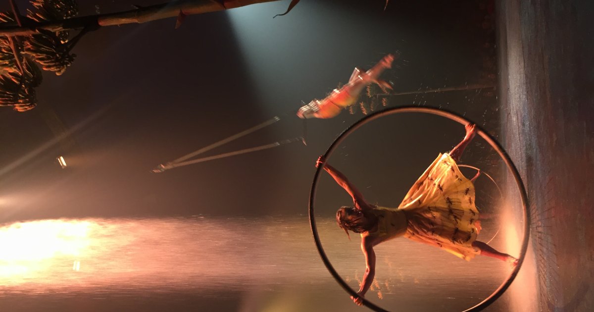 Cirque du Soleil Luzia
