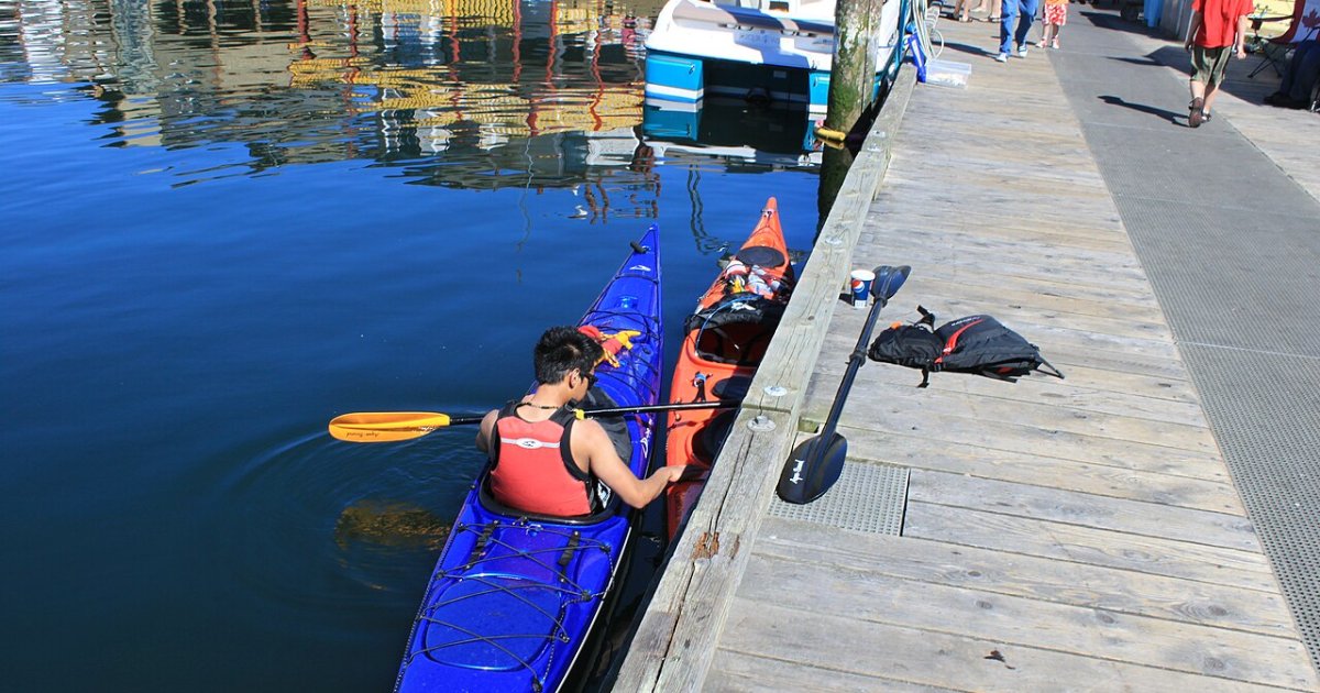 Victoria Harbour kayak tour