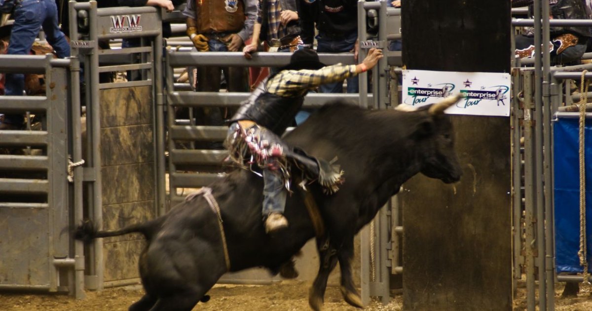 Canadian Finals Rodeo at Rogers Place