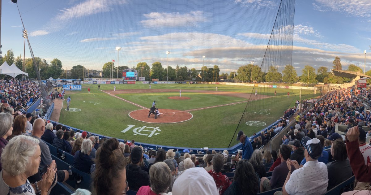 Victoria HarbourCats vs Springfield Drifters at Wilson's Group Stadium