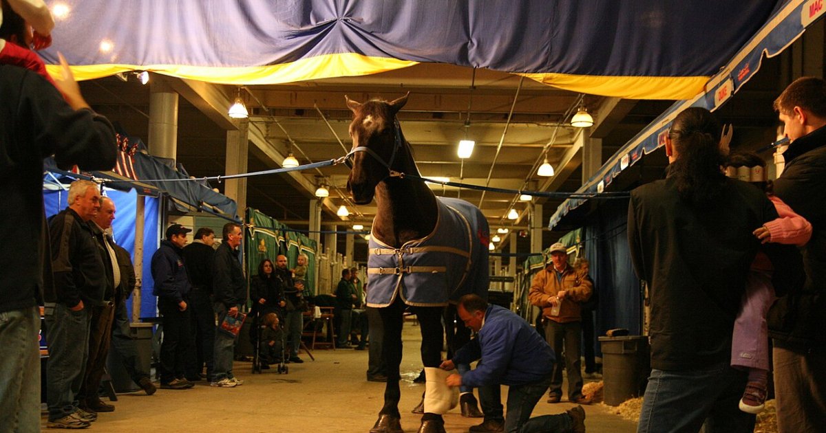 Knightwood Derby National Championship at Coca-Cola Coliseum