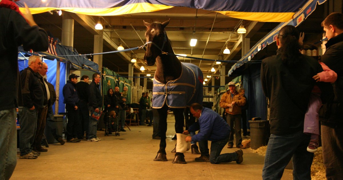 Royal Rodeo Championship Finals at Coca-Cola Coliseum