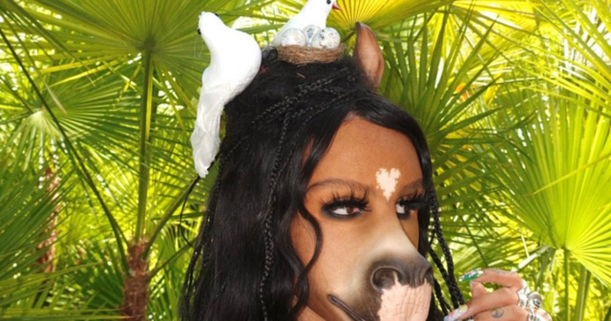 horsegiirL at History