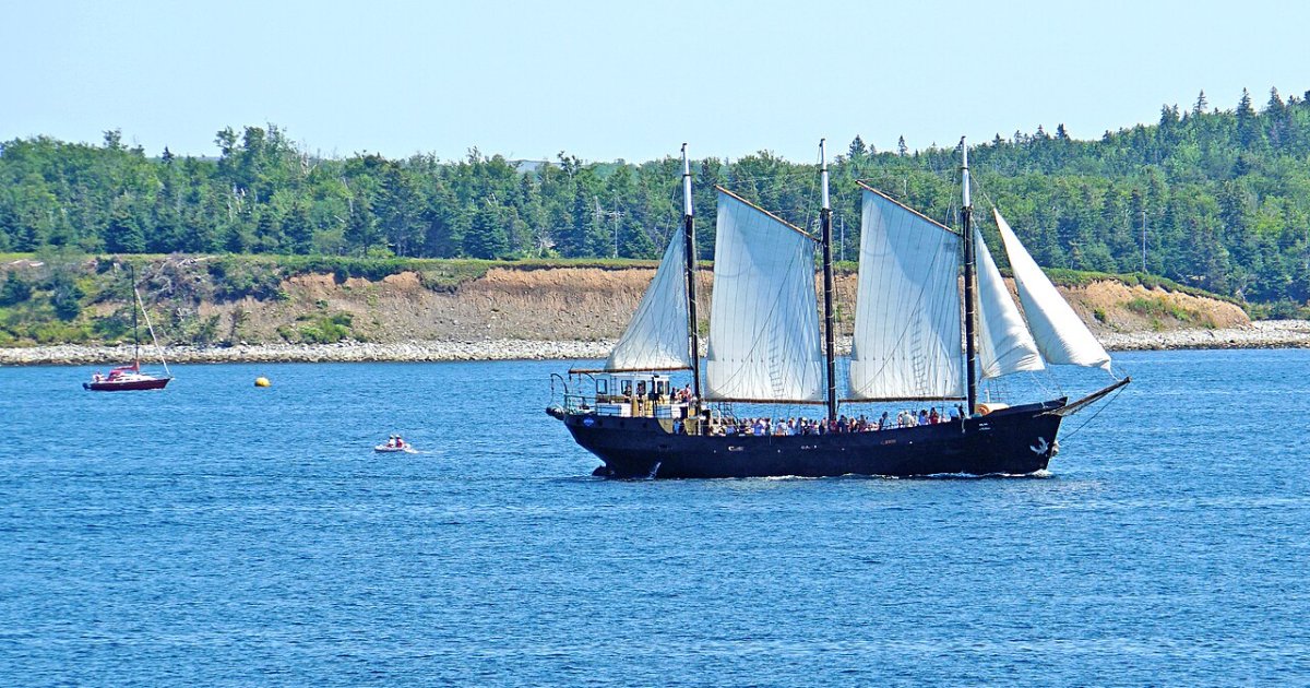 Tall Ship Silva Sailing Cruise