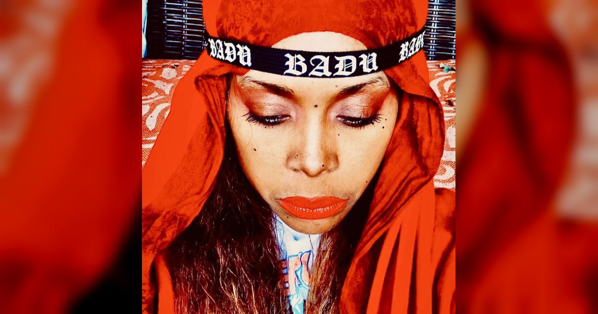 Erykah Badu at RBC Amphitheatre