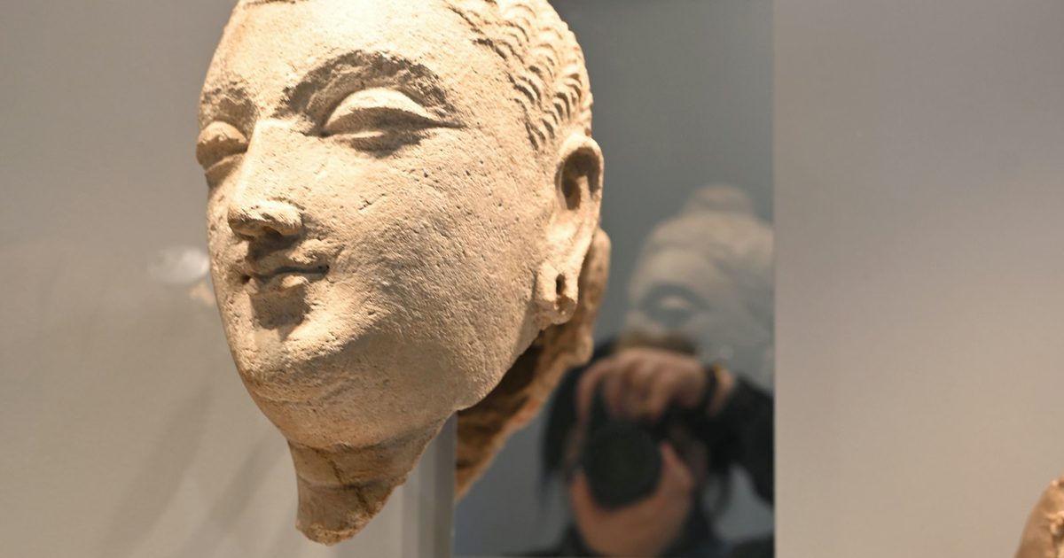 Art Gallery of Ontario Admission